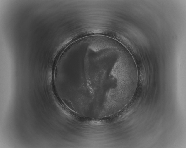 X0000112830394200908281536