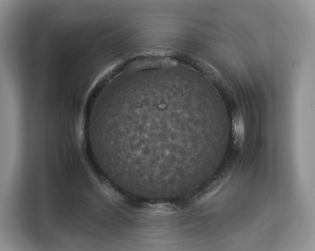 X0000112830396200908281536