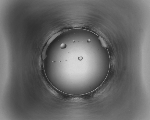 X0000112830397200908281536