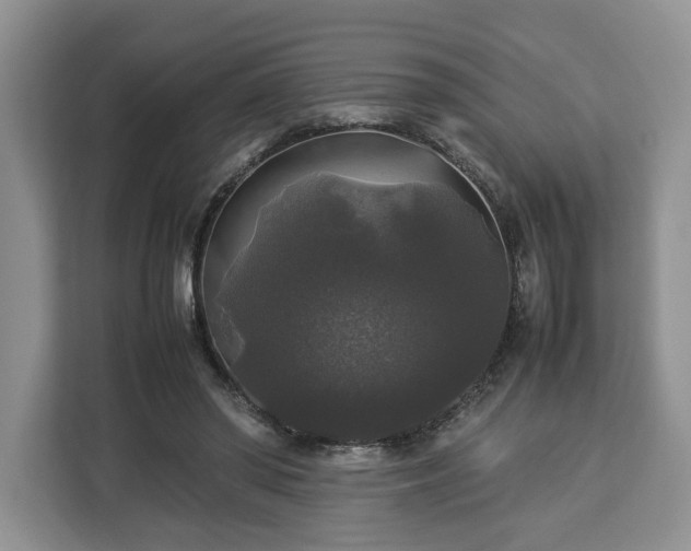 X0000112830398200908281536