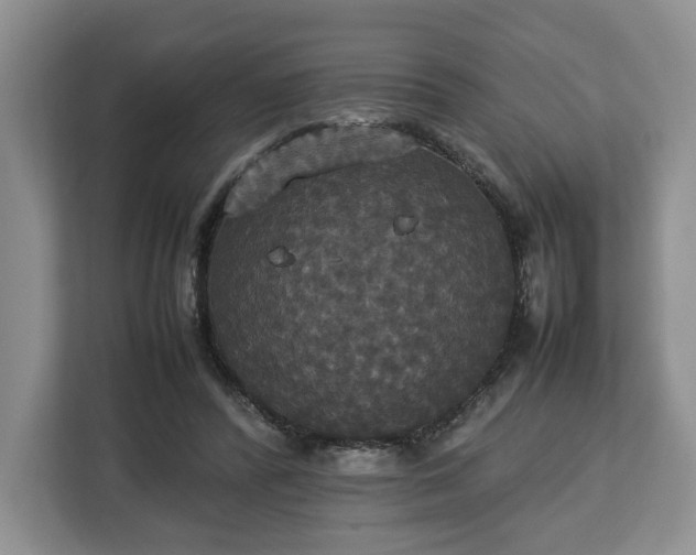 X0000112830400200908281536