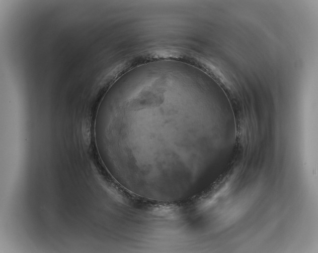 X0000112830402200908281536