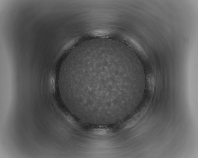 X0000112830404200908281536