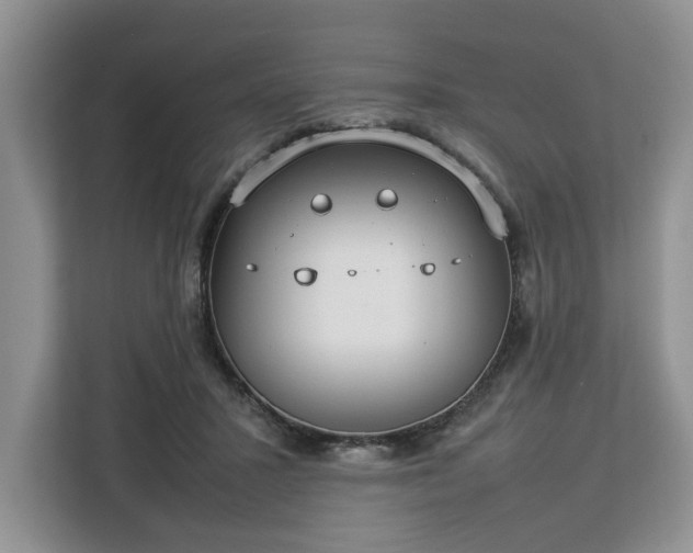 X0000112830407200908281536