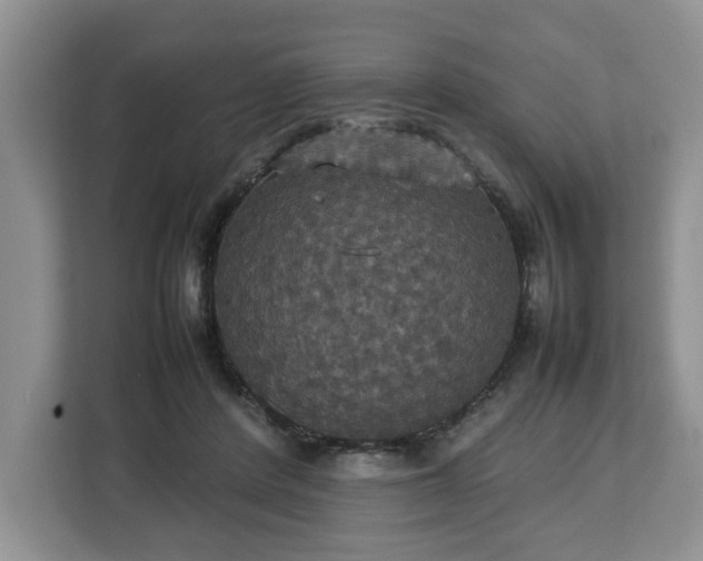 X0000112830408200908281536