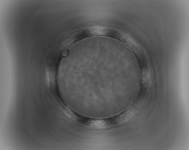 X0000112830409200908281536