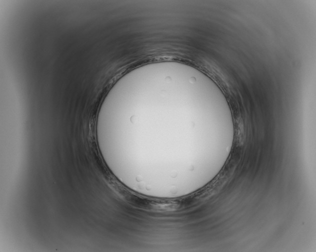 X0000112830410200908281535