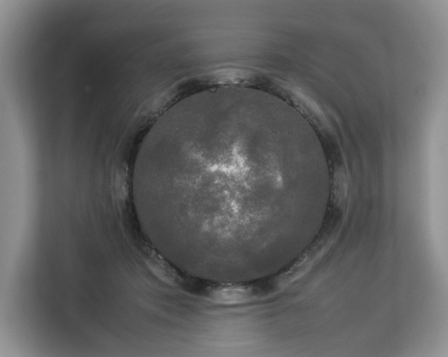 X0000112830413200908281535