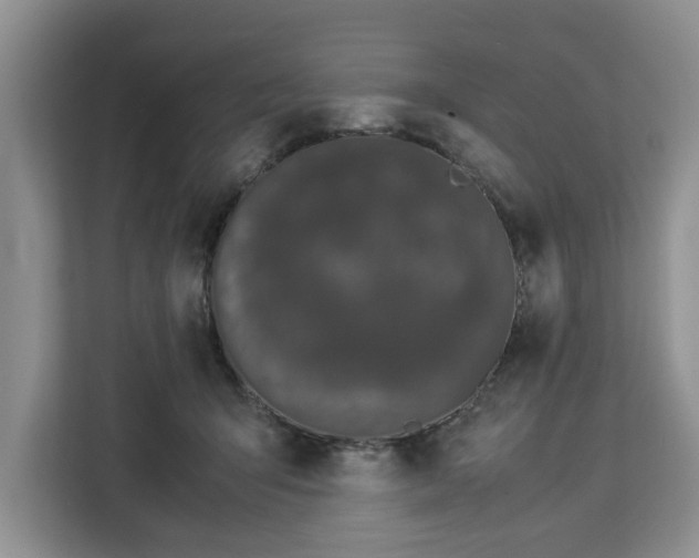 X0000112830415200908281535