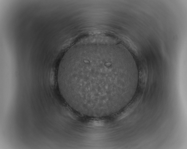 X0000112830416200908281535