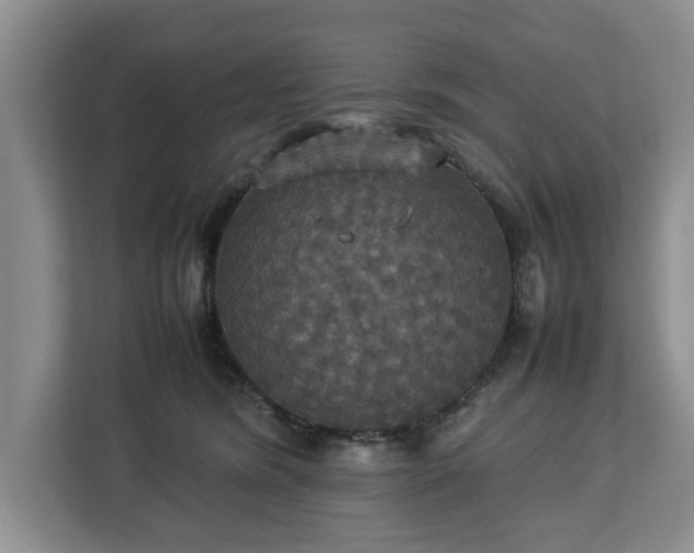 X0000112830420200908281535