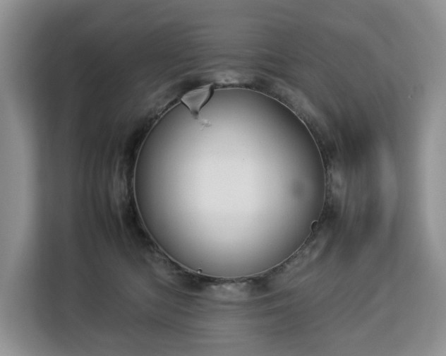 X0000112830422200908281535