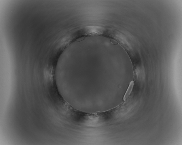 X0000112830423200908281535