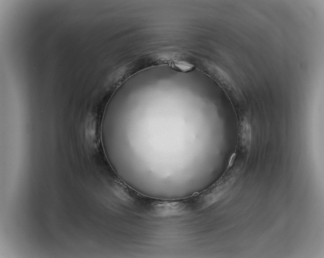 X0000112830428200908281535