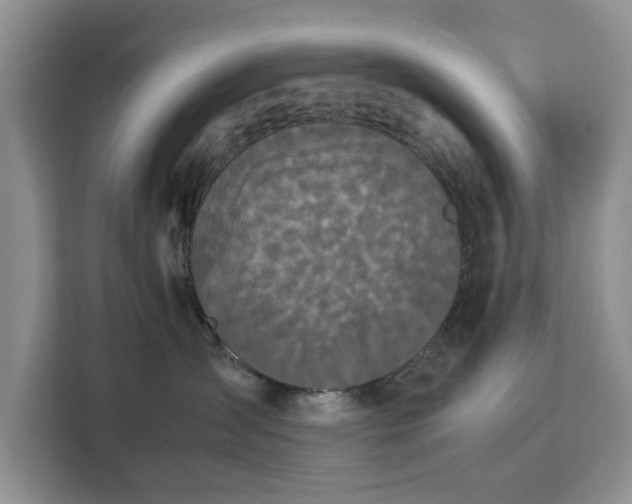 X0000112830431200908281535