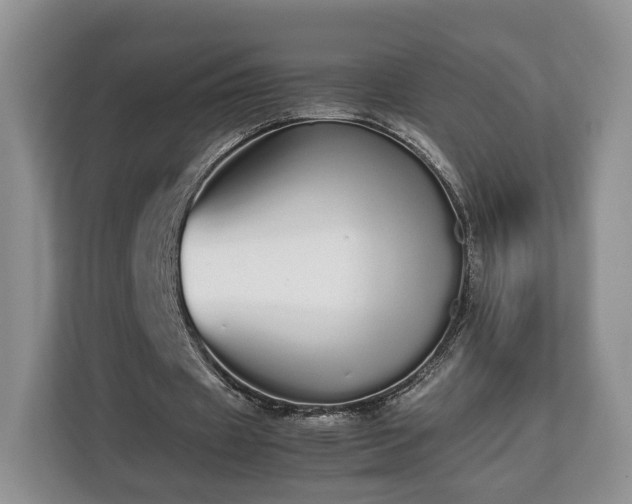 X0000112830433200908281535