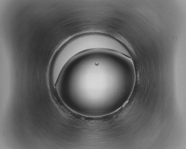 X0000112830436200908281535