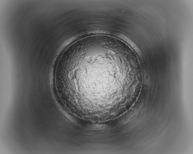 X0000112830437200908281535