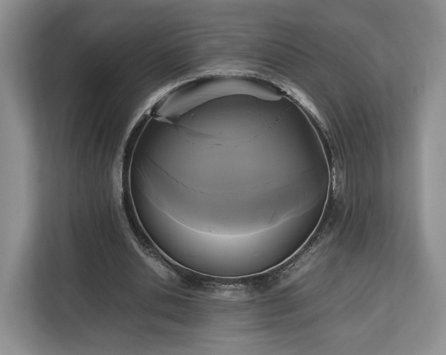 X0000112830438200908281535