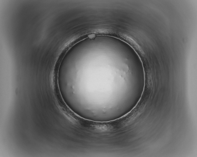 X0000112830439200908281535