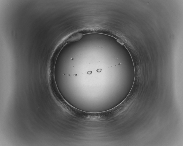 X0000112830440200908281535