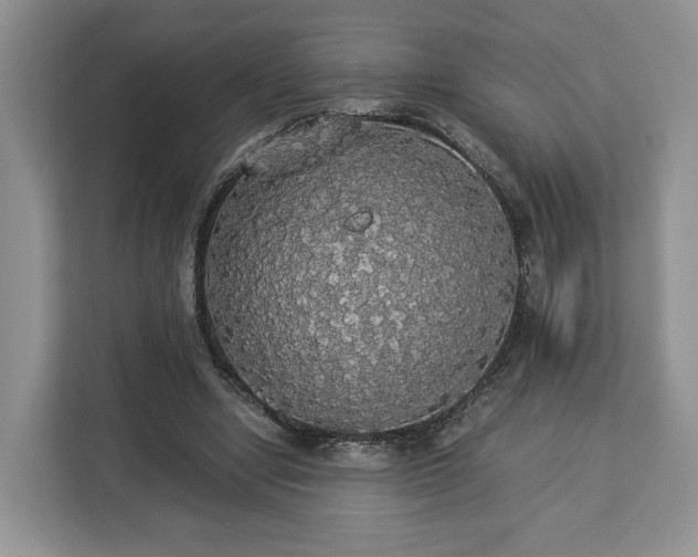 X0000112830442200908281535