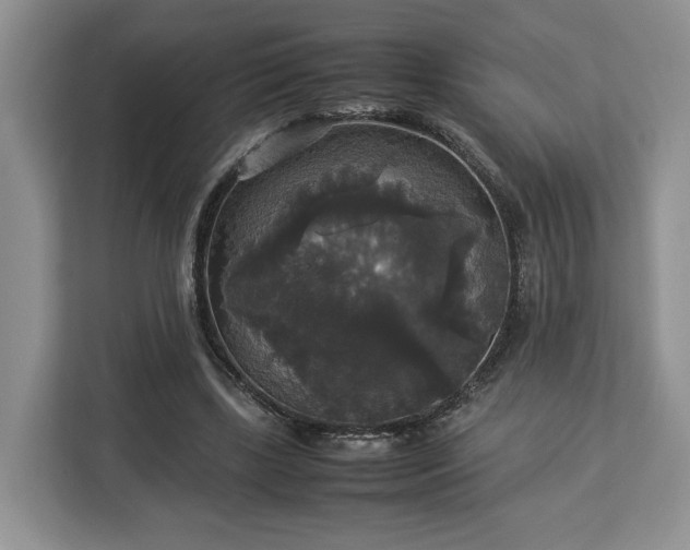 X0000112830443200908281535