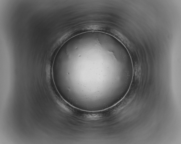 X0000112830445200908281535