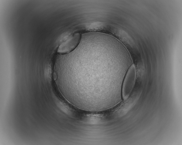 X0000112830448200908281535