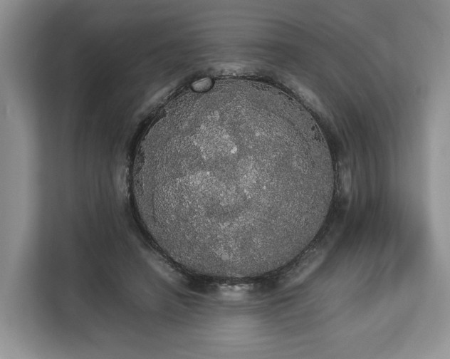 X0000112830450200908281535