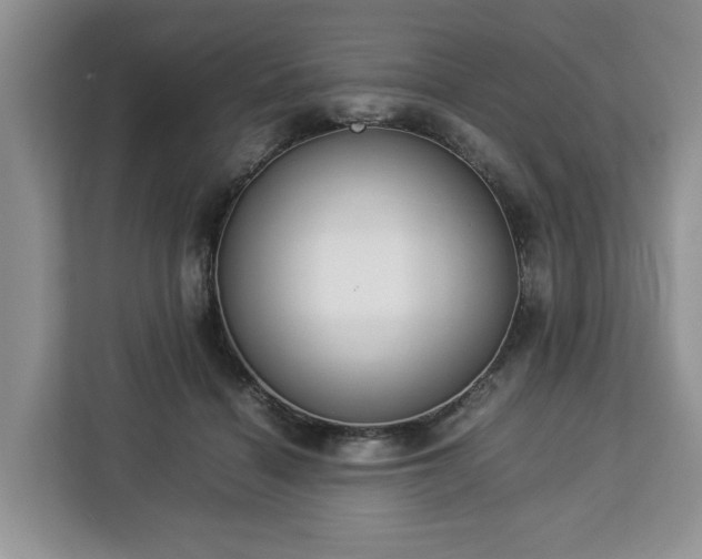 X0000112830460200908281535