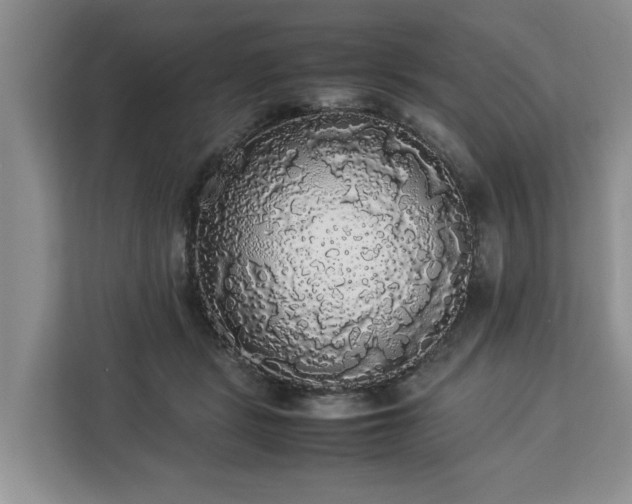 X0000112830461200908281535