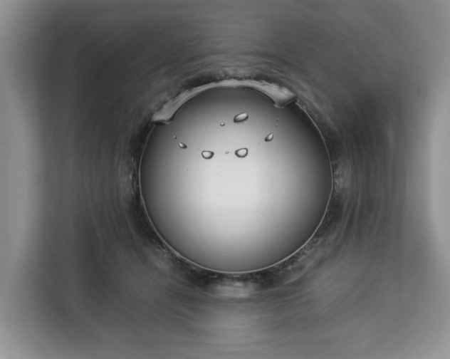 X0000112830464200908281535