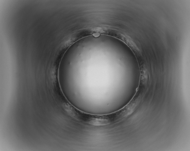 X0000112830466200908281535