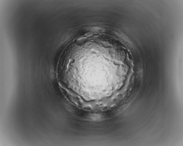 X0000112830469200908281535