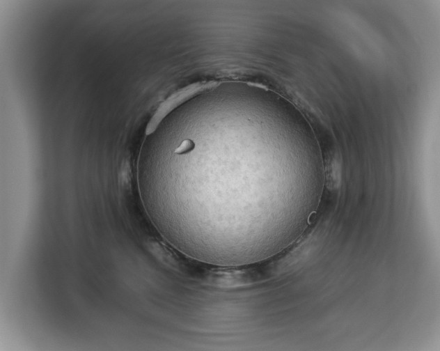 X0000112830472200908281535