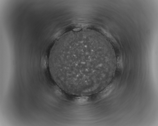 X0000112830474200908281535