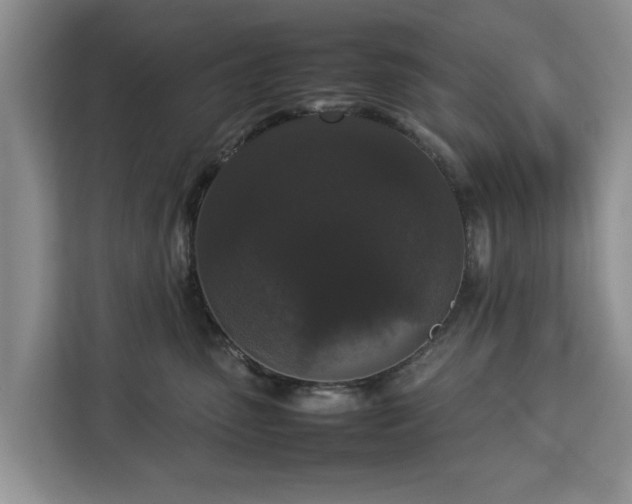 X0000112830475200908281535