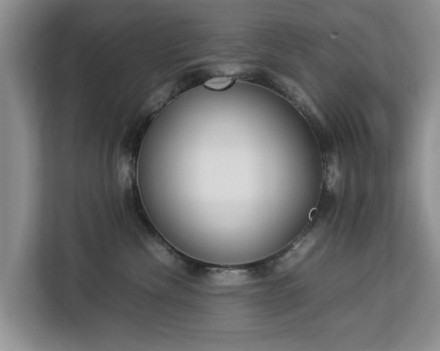 X0000112830476200908281535