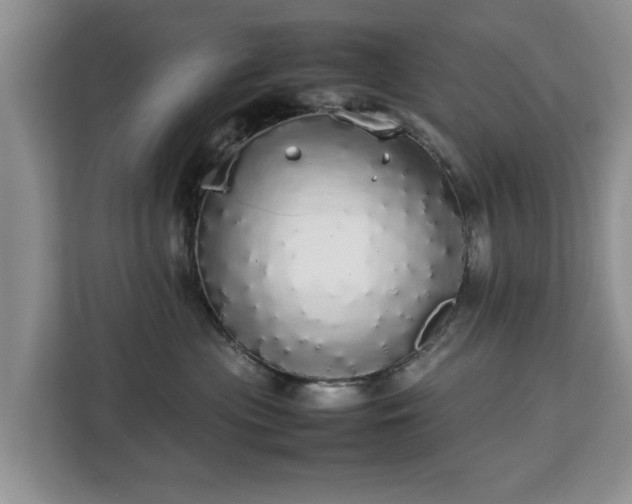 X0000112830477200908281535