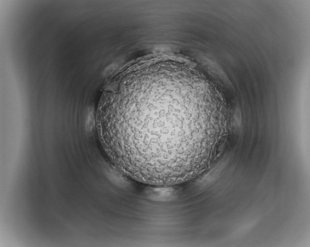 X0000112830478200908281535