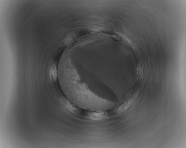 X0000112830479200908281535