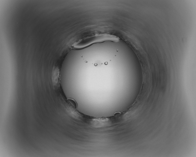 X0000112830480200908281535