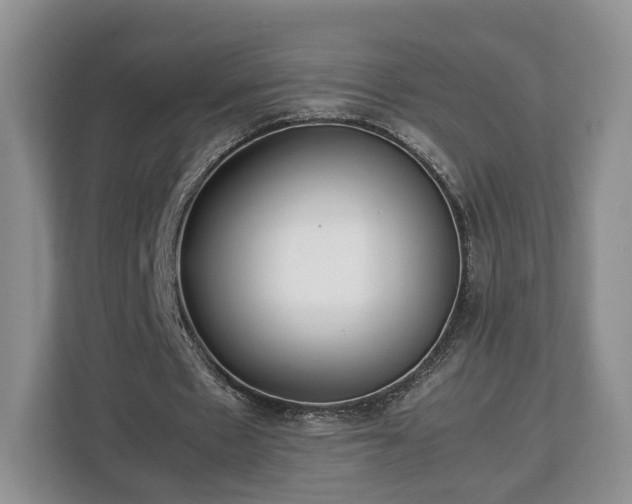 X0000112830481200908281535