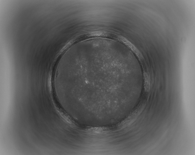 X0000112830482200908281535