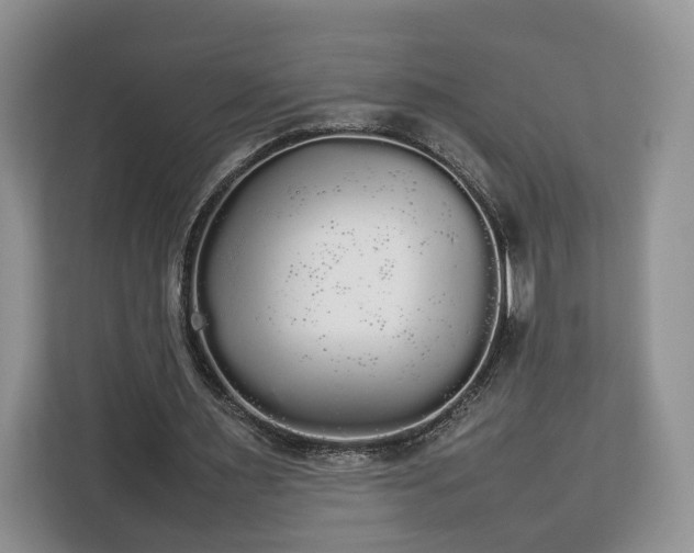 X0000112830483200908281535