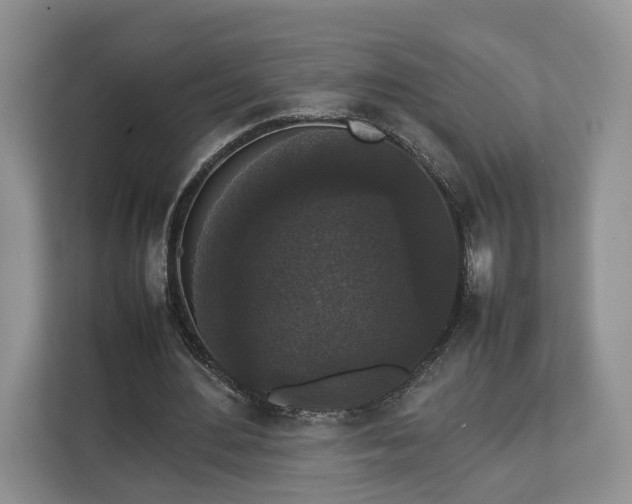 X0000112830484200908281535