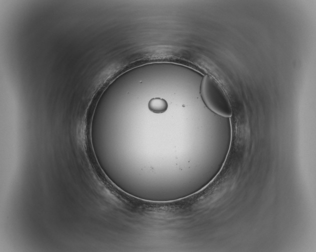 X0000112830485200908281535