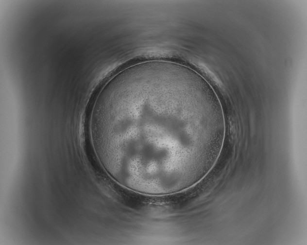 X0000112830487200908281534