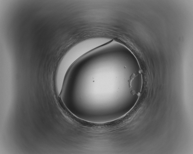 X0000112830489200908281534